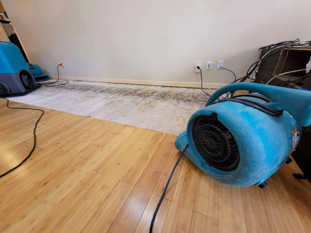 Professional Water Removal technician working in Finland, MN